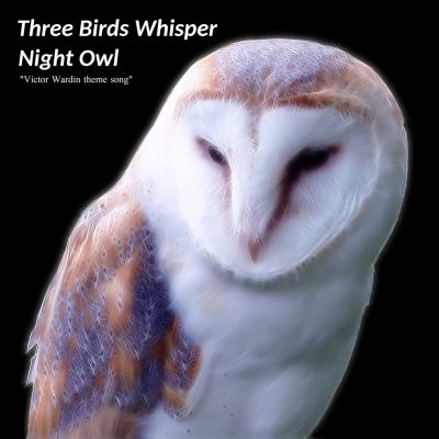 Single Night Owl